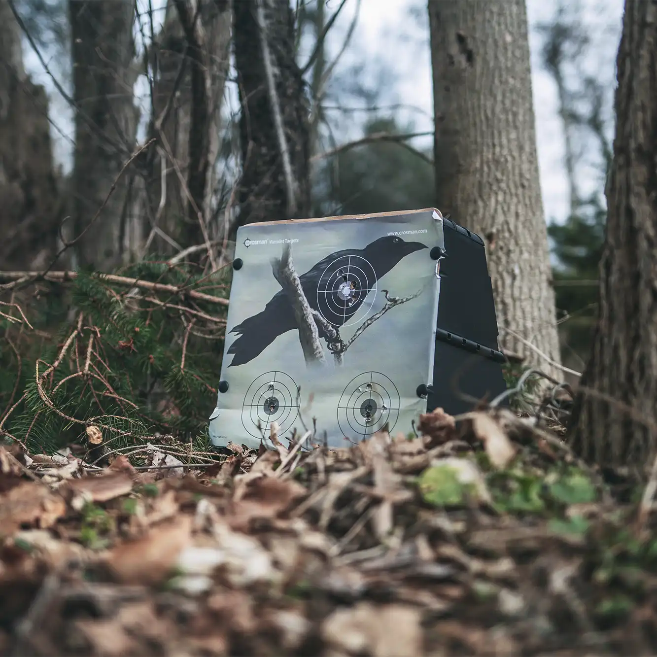 0853 - Crosman Pellet Target Trap_Lifestyle 5