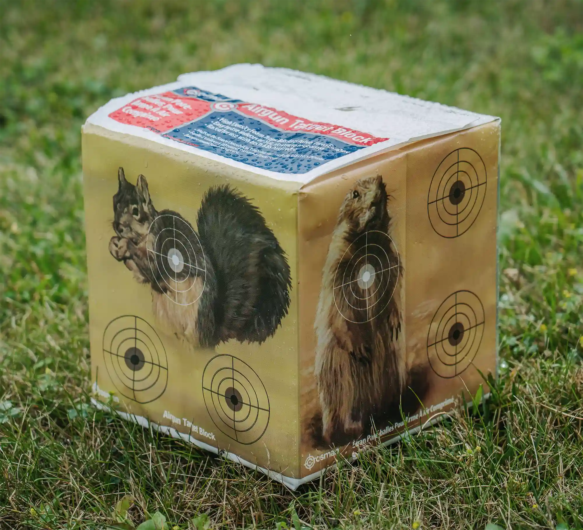 CAVTB - Crosman Varmint Target Block_Lifestyle 1
