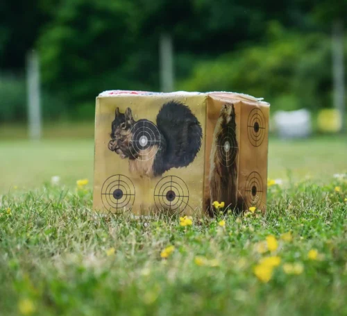 Crosman Varmint Target Block