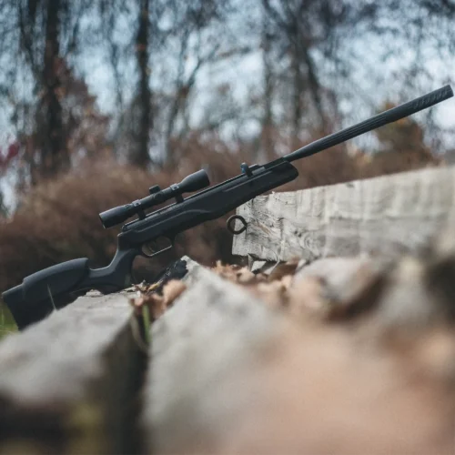 Crosman Vantage Plus (.22)
