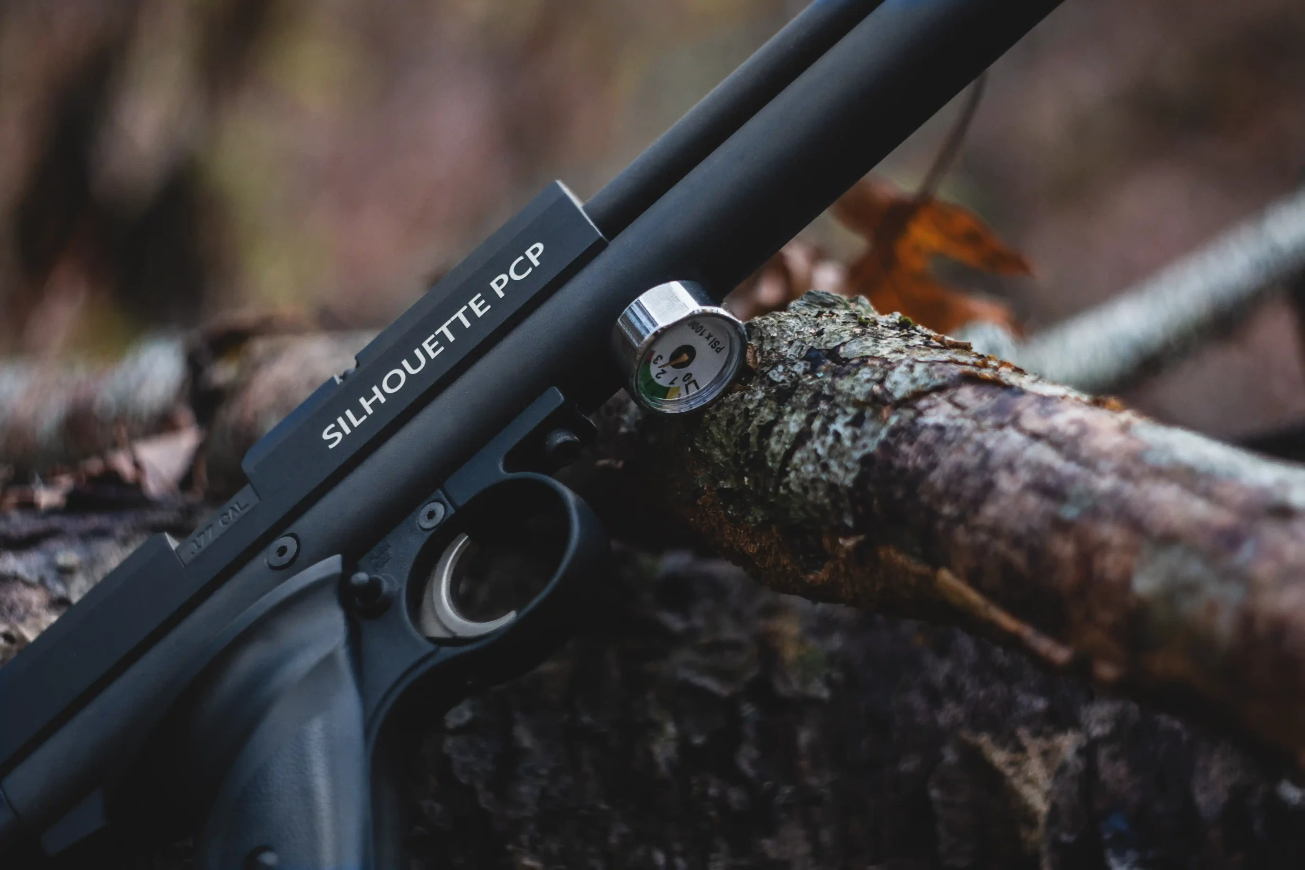 1701T Sitting on a Log in the Woods Close