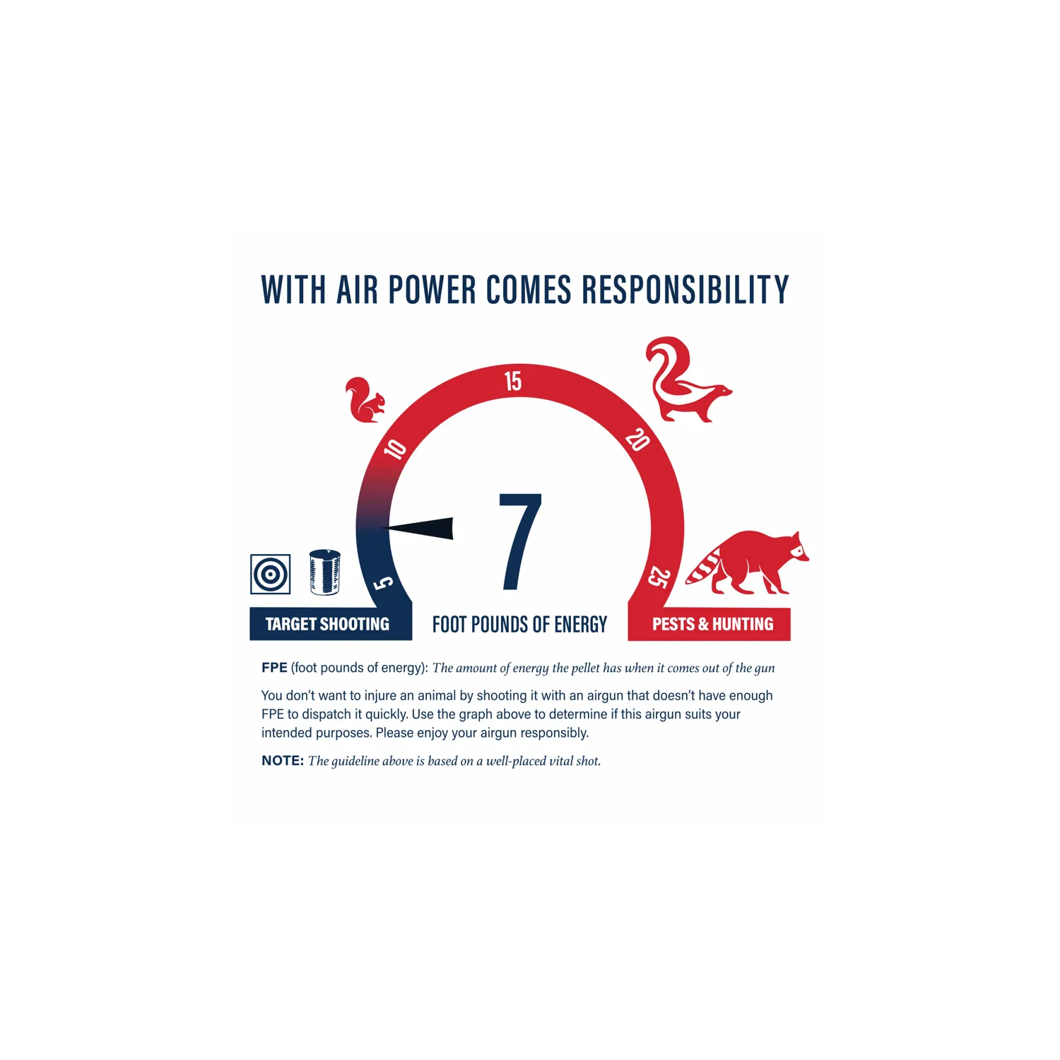 Crosman® 760 Pumpmaster® .177 Pellet / BB Kit - Image 7