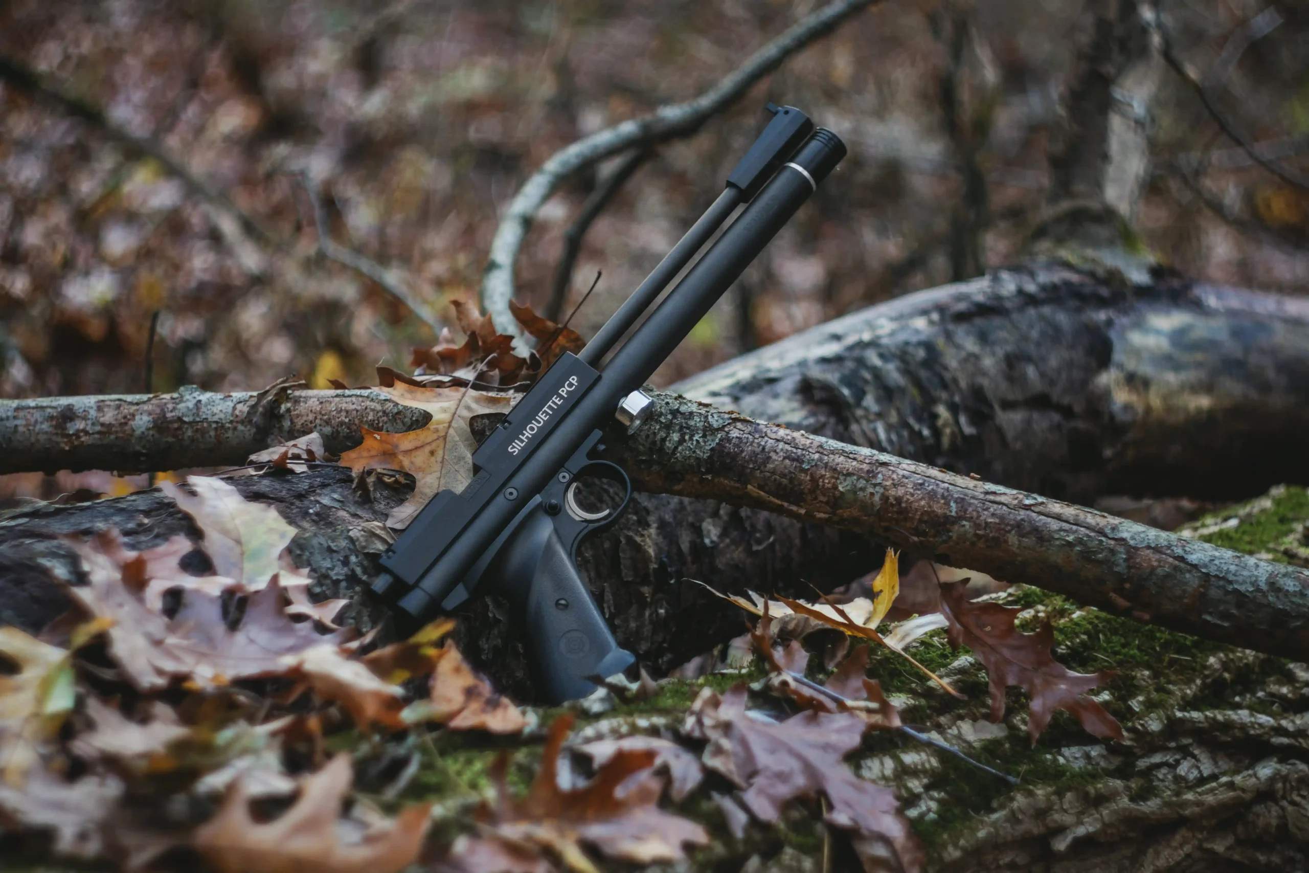 1701T Sitting on a Log in the Woods Medium