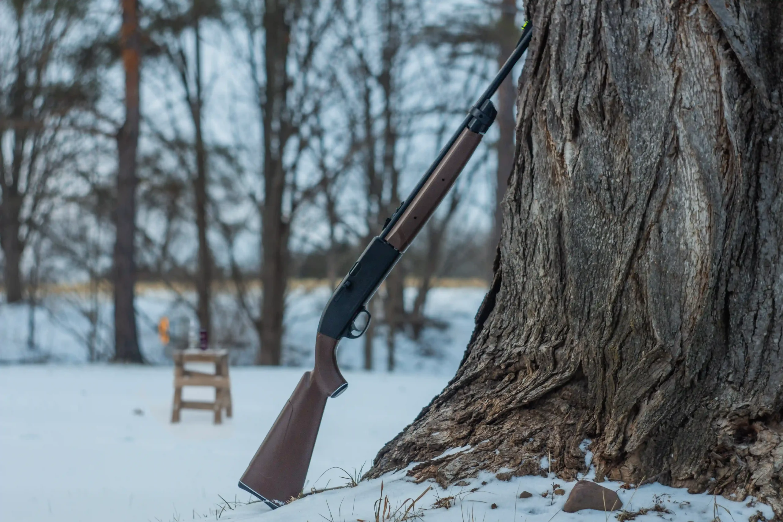 2100 Leaning Against a Tree Outdoors during Winter Medium