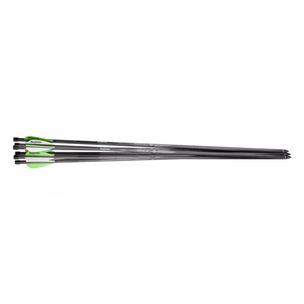 Benjamin Airbow 450 Arrows Accessory | Carbon Fiber