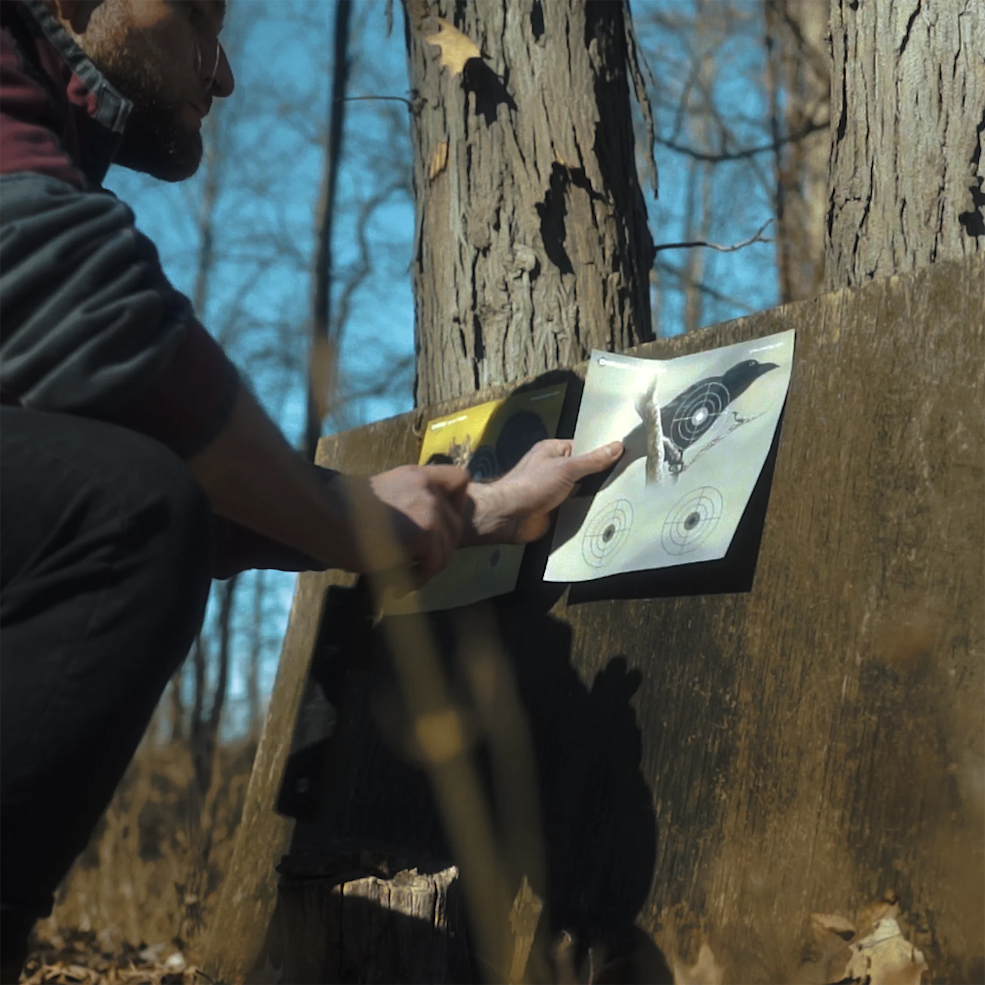 Crosman Varmit Targets