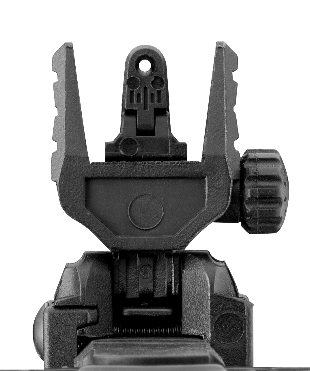 Crosman Raiden full auto BB rifle Sight Detail